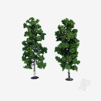1135 2 Beech Trees 18cm (Light Green)