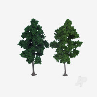 1202 2 Beech Trees 19cm (Dark Green)