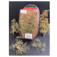 Sea Foam Trees