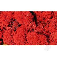 Standard Lichen, Autumn (3213)