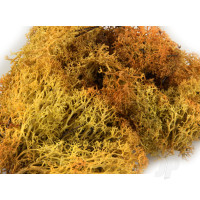 Monster Lichen, Autumn (3233)