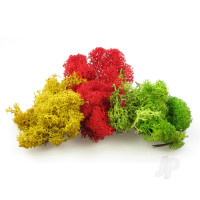 Monster Lichen, Mixed (3232)