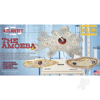 Amoeba Single Cell Model Kit STEM