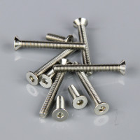 Screw Set (for Bigfoot)