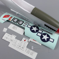 Fuselage (Painted) (for P51 850mm)