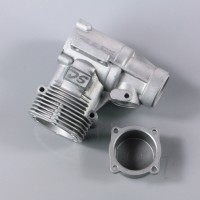 Crankcase and back plate (for SC40A-S)