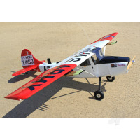 L-19A Bird Dog, Dead Eye (70-125cc) 3.09m / 122in