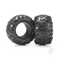 Tyres, Canyon At 2.2in (2 pcs)