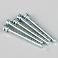 Bolt M5x55mm (5 pcs)