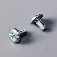 Pump Cover Bolt (2 pcs) (For G450, G620)