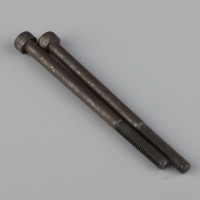 Carburettor Bolt (2 pcs) (For G620)