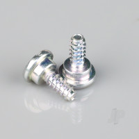 Screw (2 pcs) (For G430)