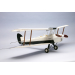 Tiger Moth