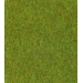 Light Green · 300 x 100cm