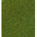 Dark Green · 200 x 100cm