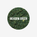 Meadow Green (Js11)