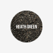 Heath Green (Js17)