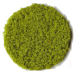 Mid Green