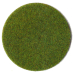 Mid Green