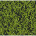Mid Green