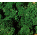 Dark Green · Standard
