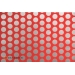 Red + Silver