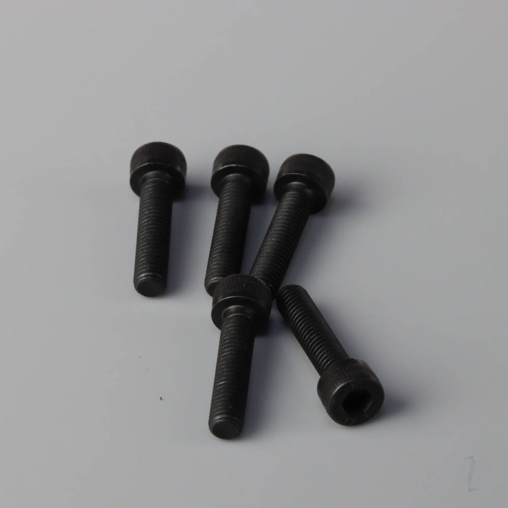 Bolt M5x22mm (5 pcs)