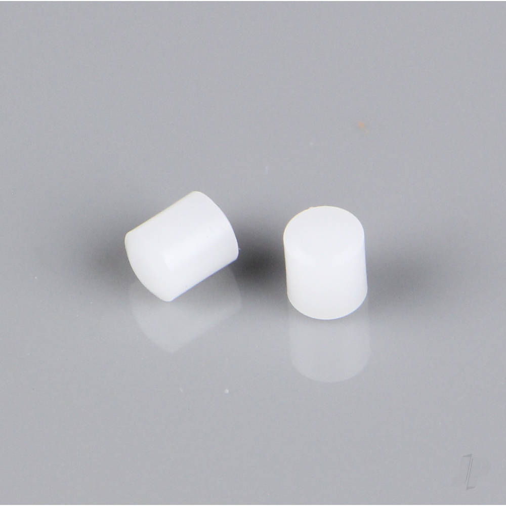 Plug (Plastic) (2 pcs) (For G800)