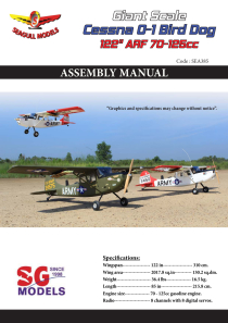 Seagull L-19A Bird Dog, Dead Eye (70-125cc) 3.09m / 122in | Models